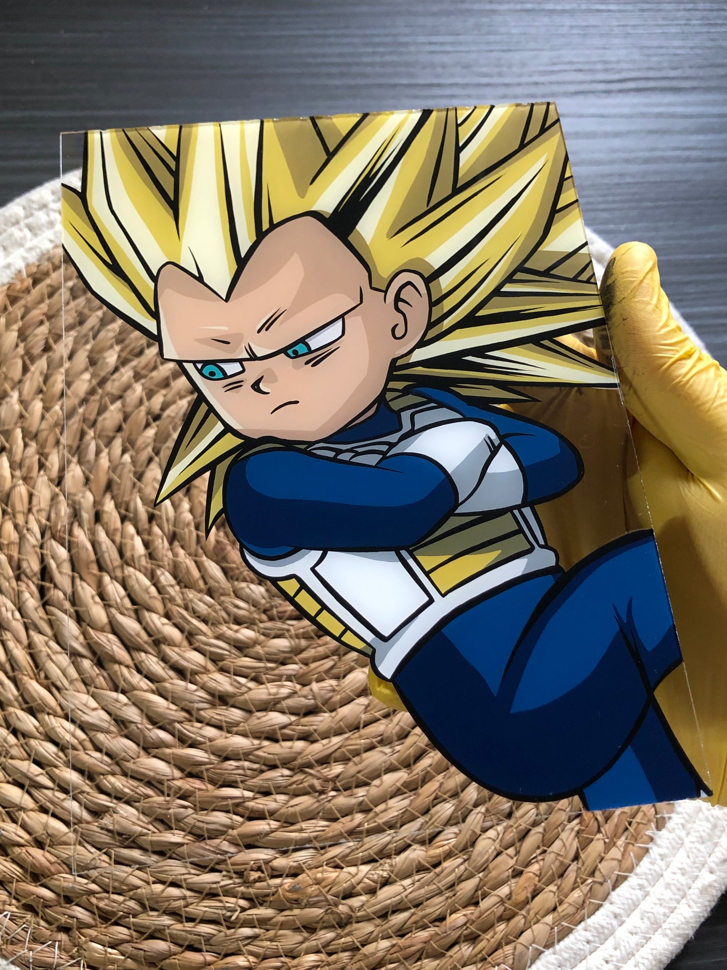 Vegeta Super Saiyan 3 (Lamina 13x18cm)
